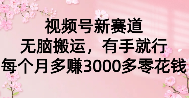 视频号新赛道，无脑搬运，有手就行，每个月多赚3000多零花钱网创吧-网创项目资源站-副业项目-创业项目-搞钱项目八百网赚