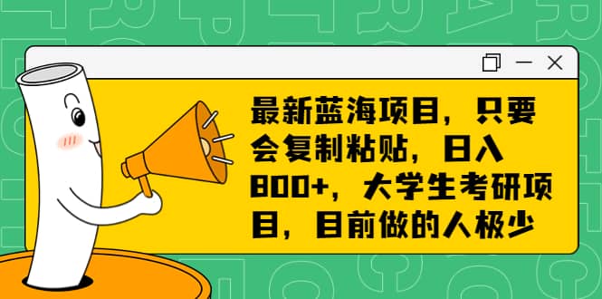 最新蓝海项目，只要会复制粘贴，日入800+，大学生考研项目，目前做的人极少网创吧-网创项目资源站-副业项目-创业项目-搞钱项目八百网赚