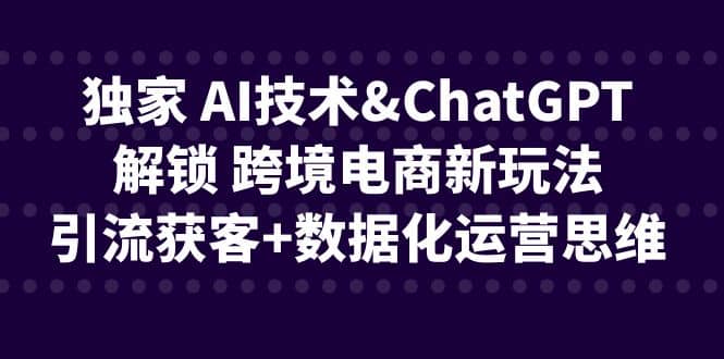 独家 AI技术ChatGPT解锁 跨境电商新玩法，引流获客+数据化运营思维网创吧-网创项目资源站-副业项目-创业项目-搞钱项目八百网赚