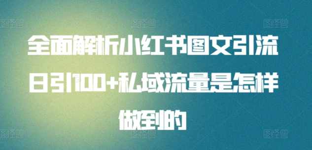 暴力引流 小红书图文引流日引100私域全面拆解【打粉人必看】网创吧-网创项目资源站-副业项目-创业项目-搞钱项目八百网赚