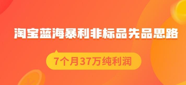 盗坤淘宝蓝海暴利非标品先品思路，7个月37万纯利润，压箱干货分享！【付费文章】网创吧-网创项目资源站-副业项目-创业项目-搞钱项目八百网赚