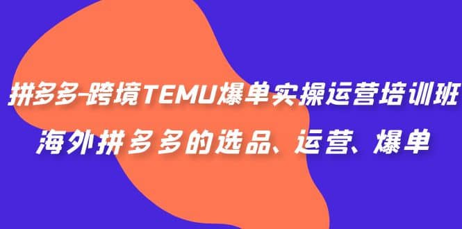 拼多多-跨境TEMU爆单实操运营培训班，海外拼多多的选品、运营、爆单网创吧-网创项目资源站-副业项目-创业项目-搞钱项目八百网赚