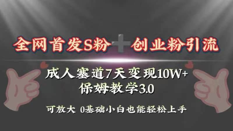 全网首发s粉加创业粉引流变现，成人用品赛道7天变现10w+保姆教学3.0网创吧-网创项目资源站-副业项目-创业项目-搞钱项目八百网赚