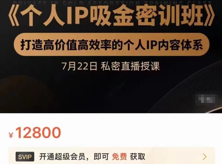 个人IP吸金密训班，打造高价值高效率的个人IP内容体系（价值12800元）网创吧-网创项目资源站-副业项目-创业项目-搞钱项目八百网赚