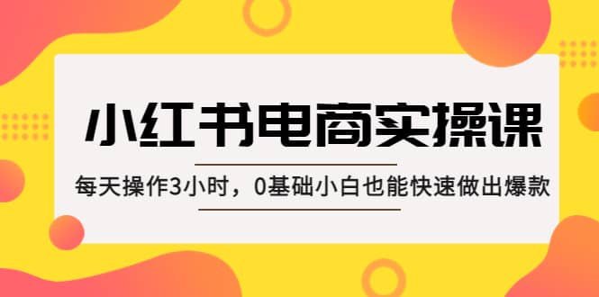小红书·电商实操课：每天操作3小时，0基础小白也能快速做出爆款网创吧-网创项目资源站-副业项目-创业项目-搞钱项目八百网赚