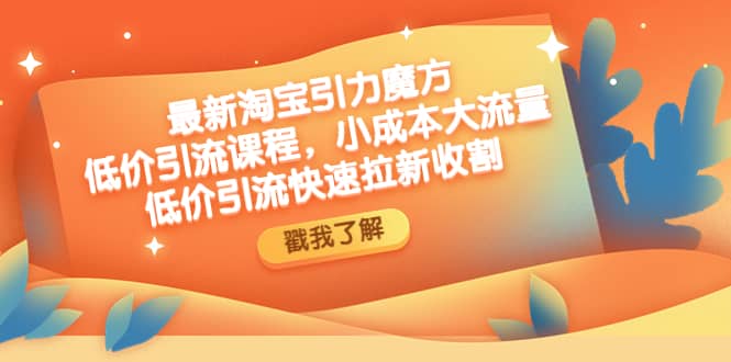 最新淘宝引力魔方低价引流实操：小成本大流量网创吧-网创项目资源站-副业项目-创业项目-搞钱项目八百网赚