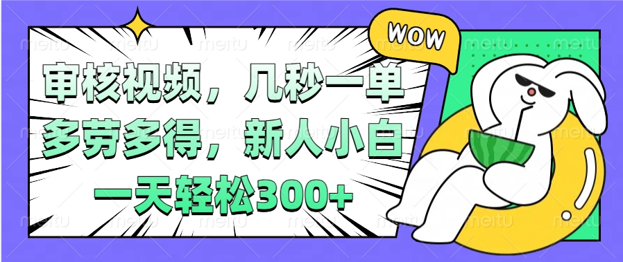 视频审核项目，几秒一单，多劳多得，新人小白一天轻松300+网创吧-网创项目资源站-副业项目-创业项目-搞钱项目八百网赚