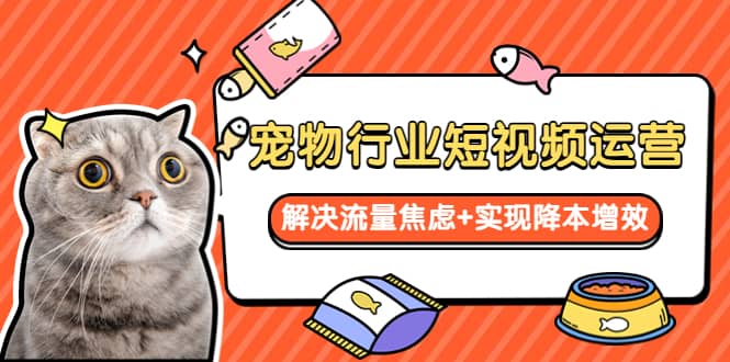 宠物/行业短视频运营 流量增长的一层窗户纸 解决流量焦虑+实现降本增效网创吧-网创项目资源站-副业项目-创业项目-搞钱项目八百网赚