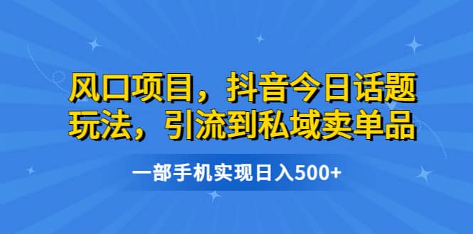 风口项目，抖音今日话题玩法，引流到私域卖单品，一部手机实现日入500+网创吧-网创项目资源站-副业项目-创业项目-搞钱项目八百网赚