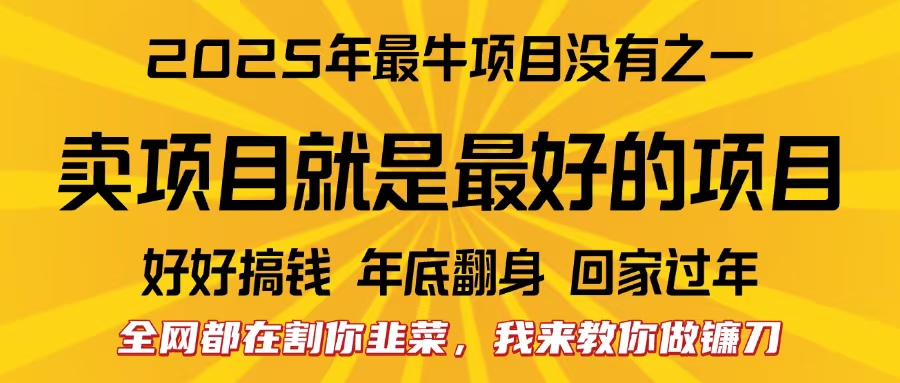 全网都在割你韭菜，我来教你做镰刀。卖项目就是最好的项目，2025年最牛互联网项目网创吧-网创项目资源站-副业项目-创业项目-搞钱项目八百网赚