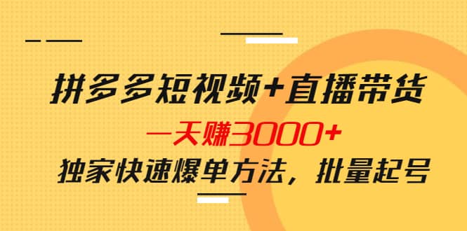 拼多多短视频+直播带货，一天赚3000+独家快速爆单方法，批量起号网创吧-网创项目资源站-副业项目-创业项目-搞钱项目八百网赚