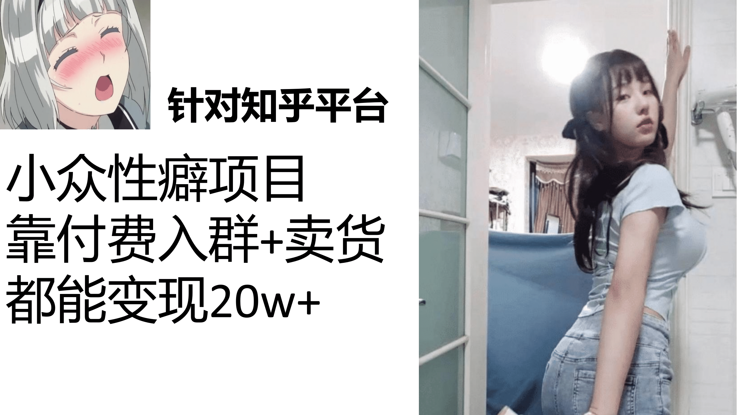 知乎小众性癖项目，Lsp的钱才是最好赚的，付费建群+卖货变现20w网创吧-网创项目资源站-副业项目-创业项目-搞钱项目八百网赚
