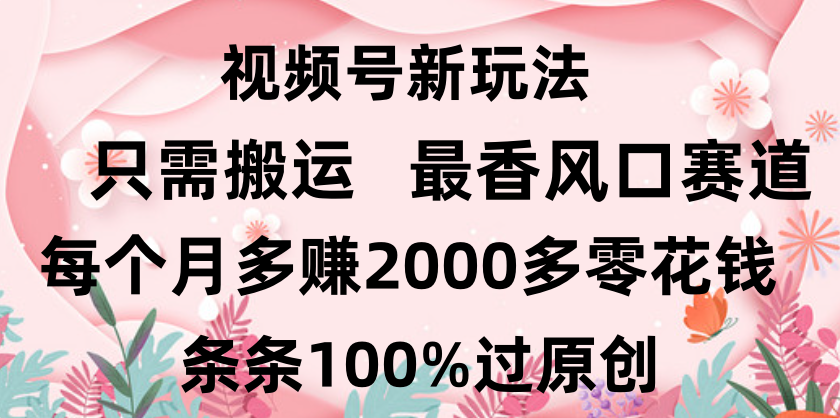 日入2000+，条条100%过原创，视频号最香风口赛道，小白轻松上手网创吧-网创项目资源站-副业项目-创业项目-搞钱项目八百网赚