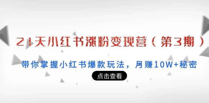 21天小红书涨粉变现营（第3期）：带你掌握小红书爆款玩法，月赚10W+秘密网创吧-网创项目资源站-副业项目-创业项目-搞钱项目八百网赚