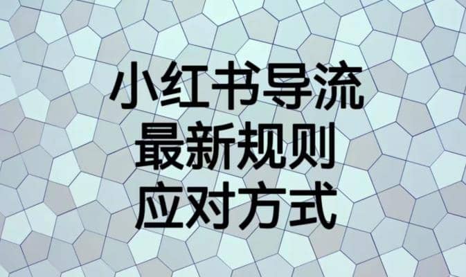 小红书导流最新规则应对方式【揭秘】网创吧-网创项目资源站-副业项目-创业项目-搞钱项目八百网赚