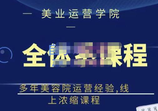 网红美容院全套营销落地课程，多年美容院运营经验，线上浓缩课程网创吧-网创项目资源站-副业项目-创业项目-搞钱项目八百网赚