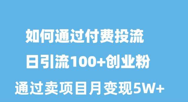 如何通过付费投流日引流100+创业粉月变现5W+网创吧-网创项目资源站-副业项目-创业项目-搞钱项目八百网赚