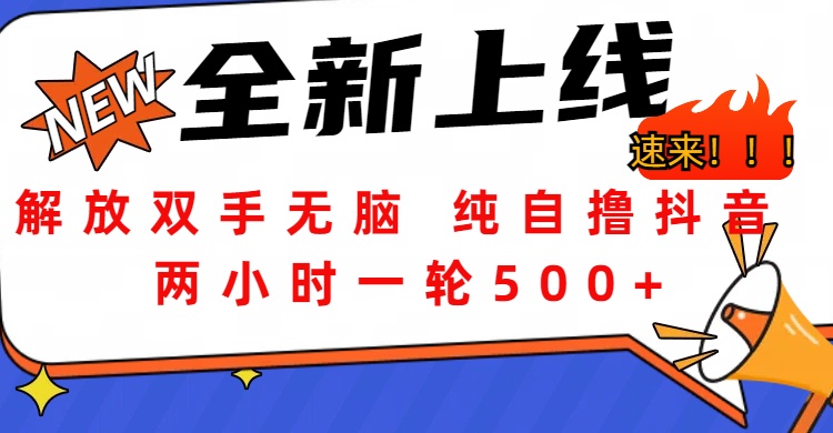 解放双手无脑 纯自撸抖音 两小时一轮500+网创吧-网创项目资源站-副业项目-创业项目-搞钱项目八百网赚