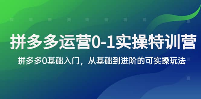 拼多多-运营0-1实操训练营，拼多多0基础入门，从基础到进阶的可实操玩法网创吧-网创项目资源站-副业项目-创业项目-搞钱项目八百网赚