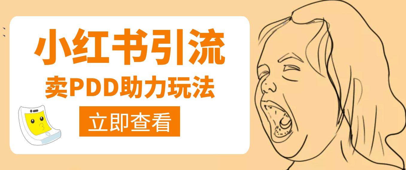 利用小红书卖拼多多助力网创吧-网创项目资源站-副业项目-创业项目-搞钱项目八百网赚