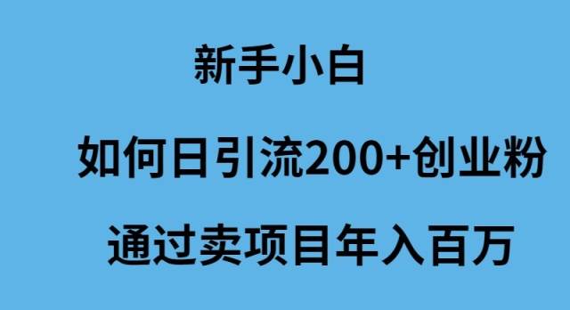 新手小白如何日引流200+创业粉通过卖项目年入百万网创吧-网创项目资源站-副业项目-创业项目-搞钱项目八百网赚