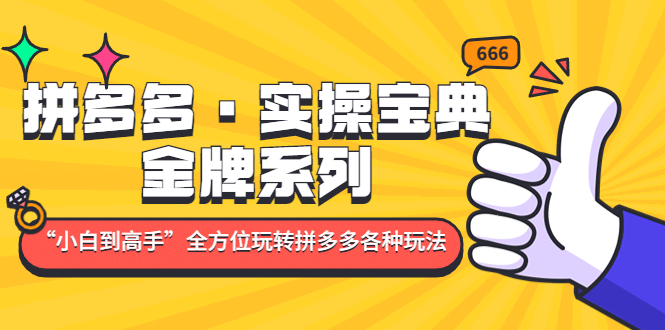 拼多多·实操宝典：金牌系列“小白到高手”带你全方位玩转拼多多各种玩法网创吧-网创项目资源站-副业项目-创业项目-搞钱项目八百网赚