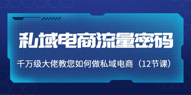 私域电商流量密码：千万级大佬教您如何做私域电商（12节课）网创吧-网创项目资源站-副业项目-创业项目-搞钱项目八百网赚
