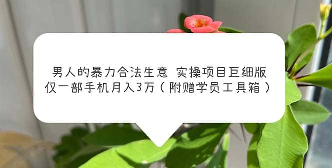 男人的暴力合法生意实操项目巨细版：仅一部手机月入3w（附赠学员工具箱）网创吧-网创项目资源站-副业项目-创业项目-搞钱项目八百网赚