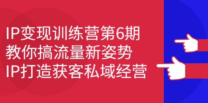 IP变现训练营第6期：教你搞流量新姿势，IP打造获客私域经营网创吧-网创项目资源站-副业项目-创业项目-搞钱项目八百网赚