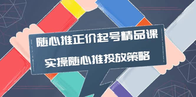 随心推正价起号精品课，实操随心推投放策略（5节课-价值298）网创吧-网创项目资源站-副业项目-创业项目-搞钱项目八百网赚