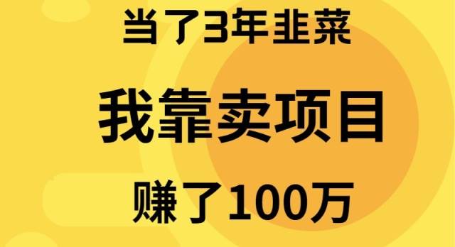 当了3年韭菜，我靠卖项目赚了100万网创吧-网创项目资源站-副业项目-创业项目-搞钱项目八百网赚