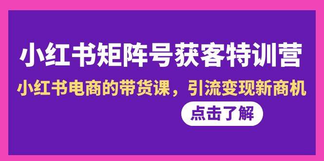 小红书-矩阵号获客特训营-第10期，小红书电商的带货课，引流变现新商机网创吧-网创项目资源站-副业项目-创业项目-搞钱项目八百网赚