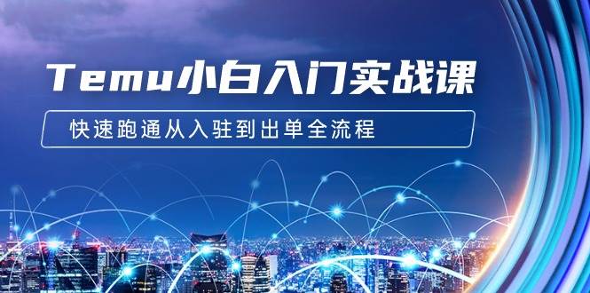 Temu小白入门实战课：跨境拼多多电商培训 快速跑通从入驻到出单全流程-12节网创吧-网创项目资源站-副业项目-创业项目-搞钱项目八百网赚