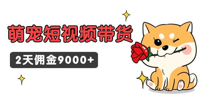 东哲日记·萌宠短视频带货，2天佣金9000+网创吧-网创项目资源站-副业项目-创业项目-搞钱项目八百网赚