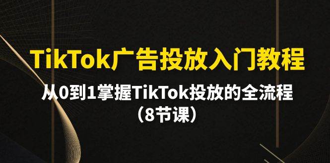 TikTok广告投放入门教程，从0到1掌握TikTok投放的全流程（8节课）网创吧-网创项目资源站-副业项目-创业项目-搞钱项目八百网赚
