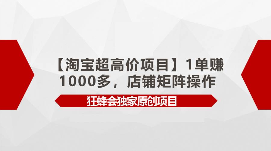 【淘宝超高价项目】1单赚1000多，店铺矩阵操作网创吧-网创项目资源站-副业项目-创业项目-搞钱项目八百网赚