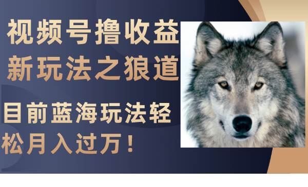 视频号撸收益新玩法之狼道，目前蓝海玩法轻松月入过万！网创吧-网创项目资源站-副业项目-创业项目-搞钱项目八百网赚