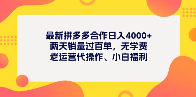 最新拼多多项目日入4000+两天销量过百单，无学费、老运营代操作、小白福利网创吧-网创项目资源站-副业项目-创业项目-搞钱项目八百网赚