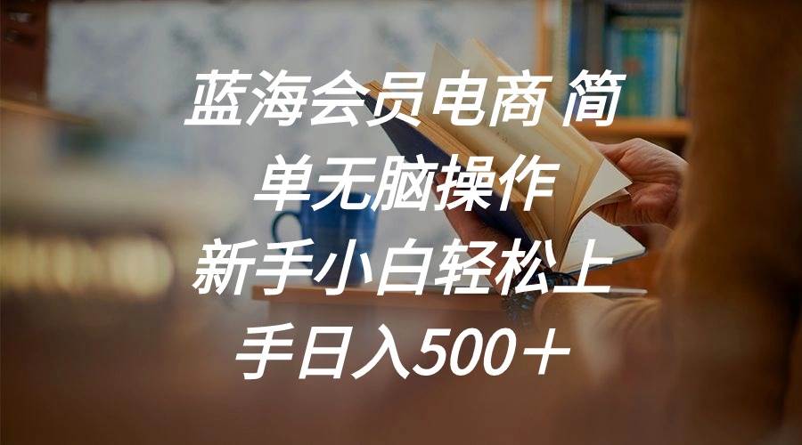 蓝海会员电商 简单无脑操作 新手小白轻松上手日入500＋网创吧-网创项目资源站-副业项目-创业项目-搞钱项目八百网赚