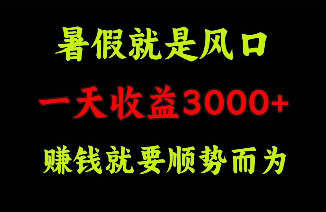 一天收益3000+ 赚钱就是顺势而为，暑假就是风口网创吧-网创项目资源站-副业项目-创业项目-搞钱项目八百网赚