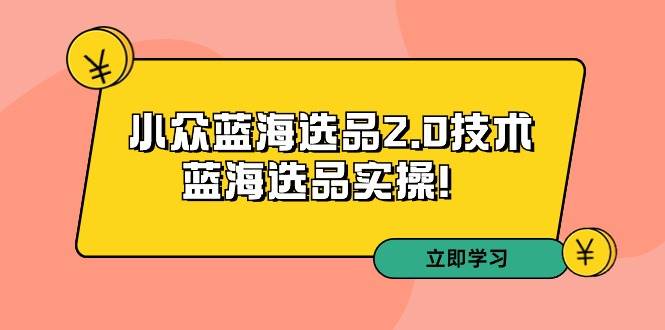 拼多多培训第33期：小众蓝海选品2.0技术-蓝海选品实操！网创吧-网创项目资源站-副业项目-创业项目-搞钱项目八百网赚