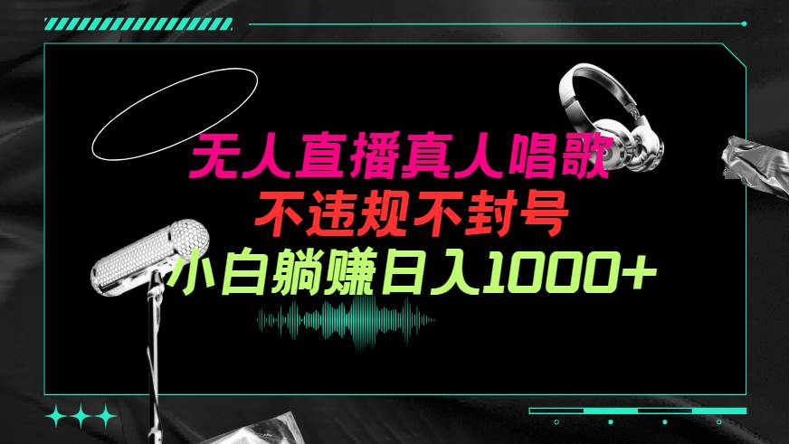 抖音24小时无人直播音乐，不违规，不封号纯撸音浪，小白实操当天日入1000+网创吧-网创项目资源站-副业项目-创业项目-搞钱项目八百网赚
