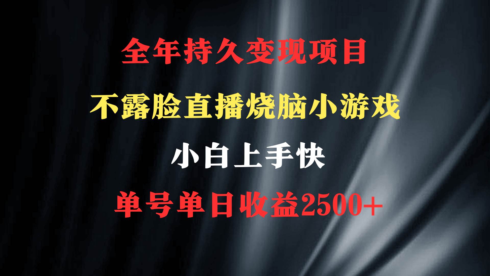 2024年 最优项目，烧脑小游戏不露脸直播  小白上手快 无门槛 一天收益2500+网创吧-网创项目资源站-副业项目-创业项目-搞钱项目八百网赚