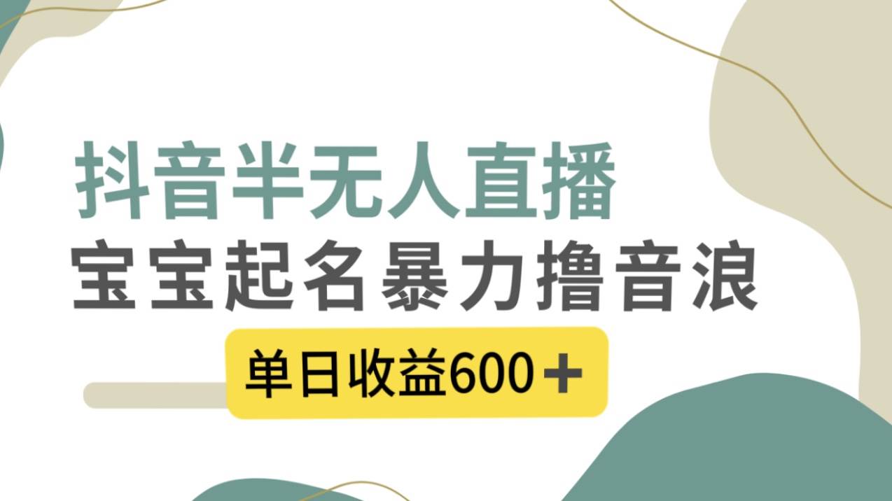 抖音半无人直播，宝宝起名，暴力撸音浪，单日收益600+网创吧-网创项目资源站-副业项目-创业项目-搞钱项目八百网赚