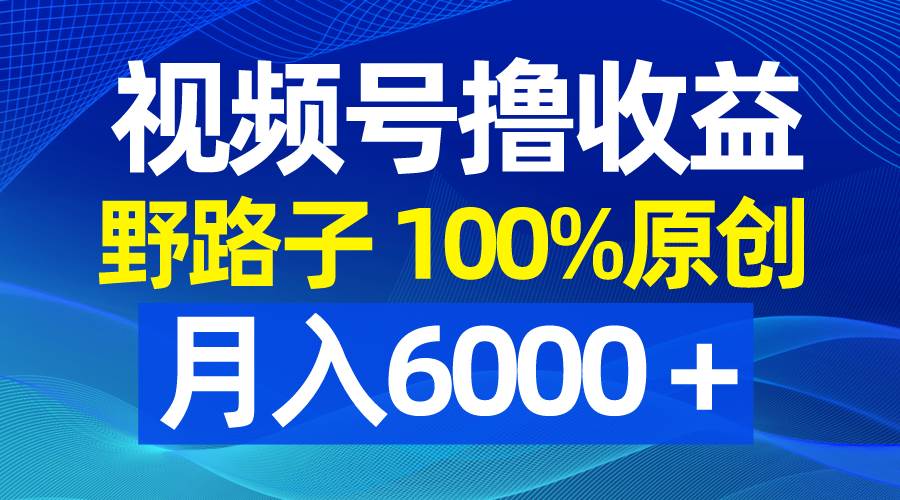 视频号野路子撸收益，100%原创，条条爆款，月入6000＋网创吧-网创项目资源站-副业项目-创业项目-搞钱项目八百网赚