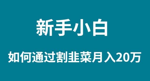 新手小白如何通过割韭菜月入 20W网创吧-网创项目资源站-副业项目-创业项目-搞钱项目八百网赚