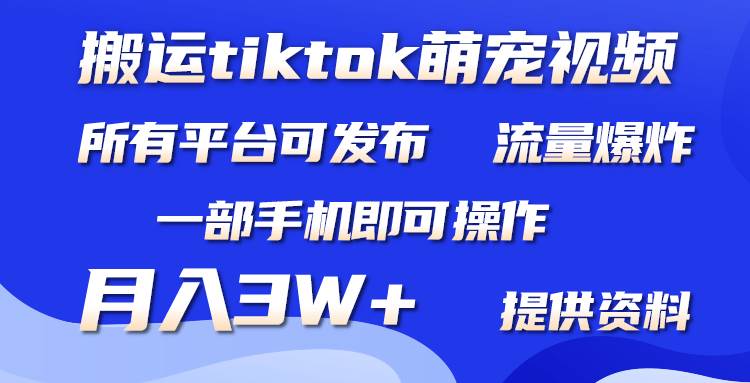 搬运Tiktok萌宠类视频，一部手机即可。所有短视频平台均可操作，月入3W+网创吧-网创项目资源站-副业项目-创业项目-搞钱项目八百网赚