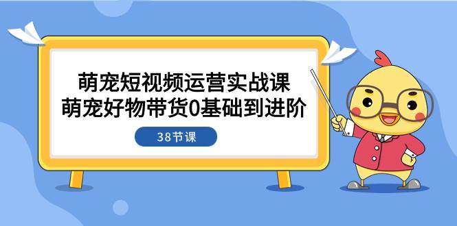 萌宠·短视频运营实战课：萌宠好物带货0基础到进阶（38节课）网创吧-网创项目资源站-副业项目-创业项目-搞钱项目八百网赚