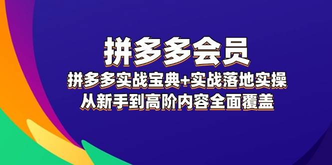 拼多多 会员，拼多多实战宝典+实战落地实操，从新手到高阶内容全面覆盖网创吧-网创项目资源站-副业项目-创业项目-搞钱项目八百网赚