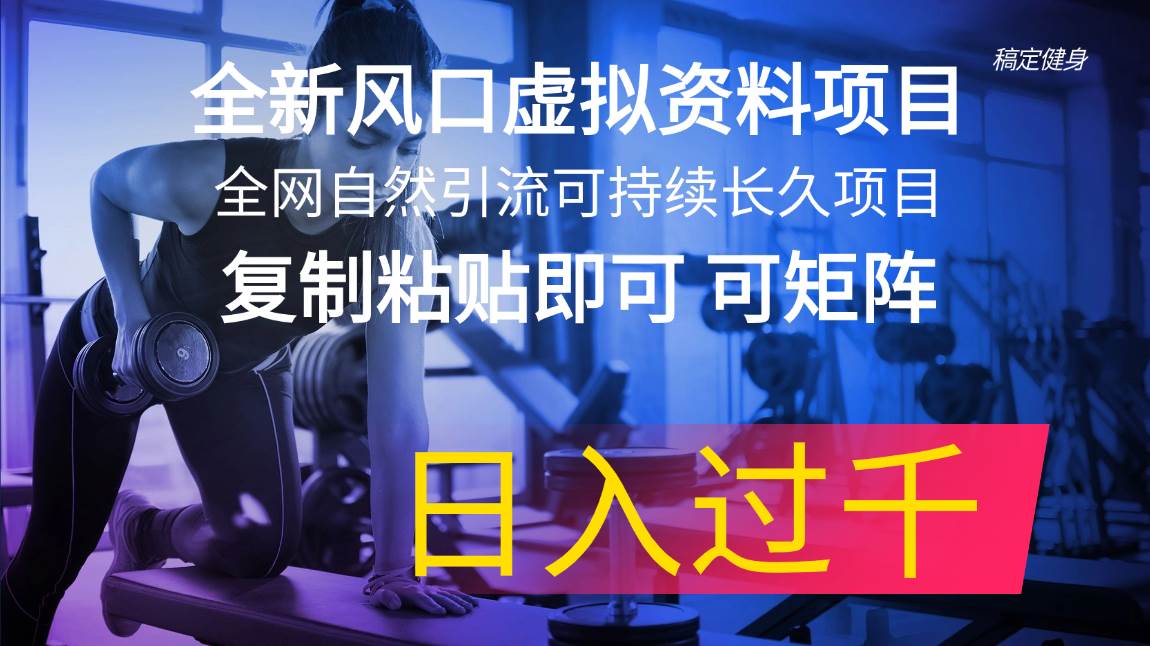 全新风口虚拟资料项目 全网自然引流可持续长久项目 复制粘贴即可可矩阵…网创吧-网创项目资源站-副业项目-创业项目-搞钱项目八百网赚